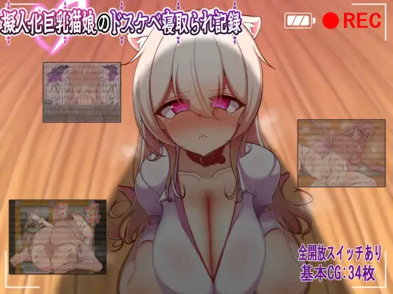 巨乳猫娘的淫乱NTR记录封面