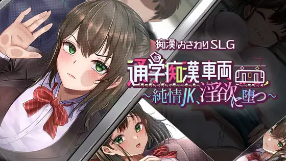 通学痴汉车厢封面
