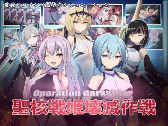 圣核战姫 DX ver.2.6封面
