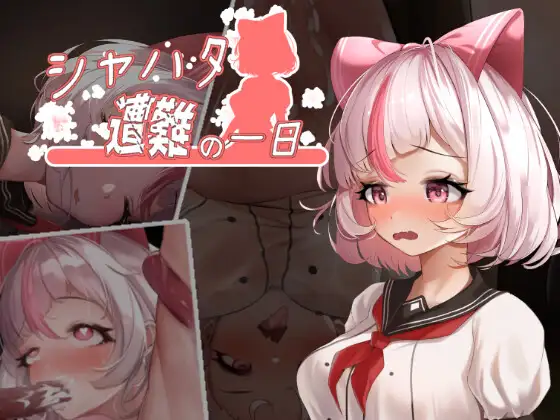 シャハタ遭難の一日封面