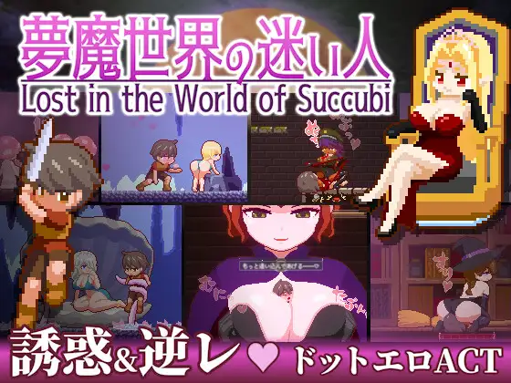 夢魔世界の迷い人｜梦魔世界的迷途人封面