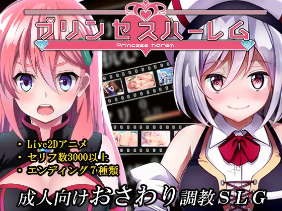 プリンセスハーレム｜公主后宫封面