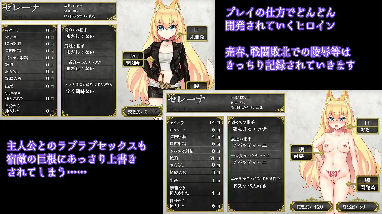獣耳乙女は裏切らない 图片 4