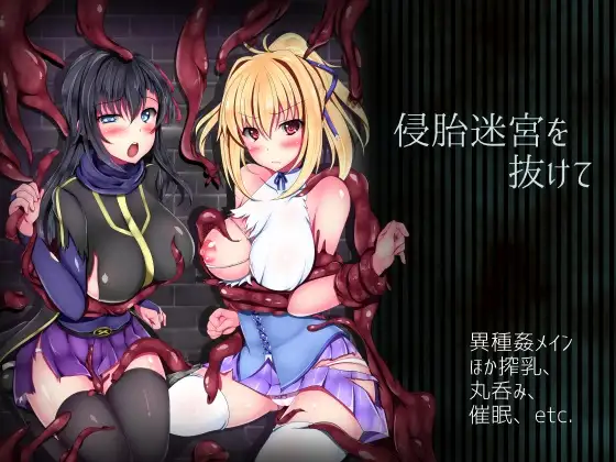 侵胎迷宮を抜けて封面
