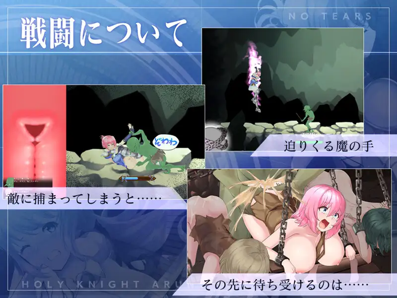 聖騎士アルネと魔孕の呪印～Another No Tears～ 图片 3