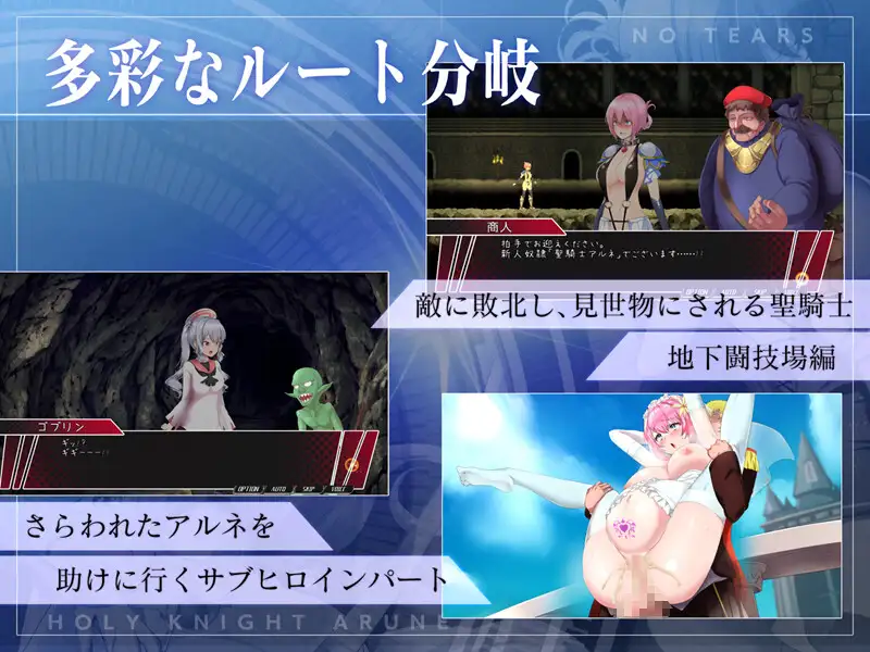 聖騎士アルネと魔孕の呪印～Another No Tears～ 图片 10