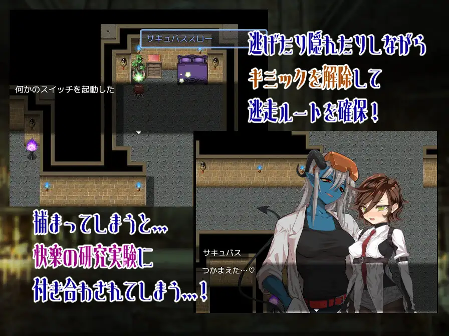 シトラスと禁断のダンジョン 图片 5