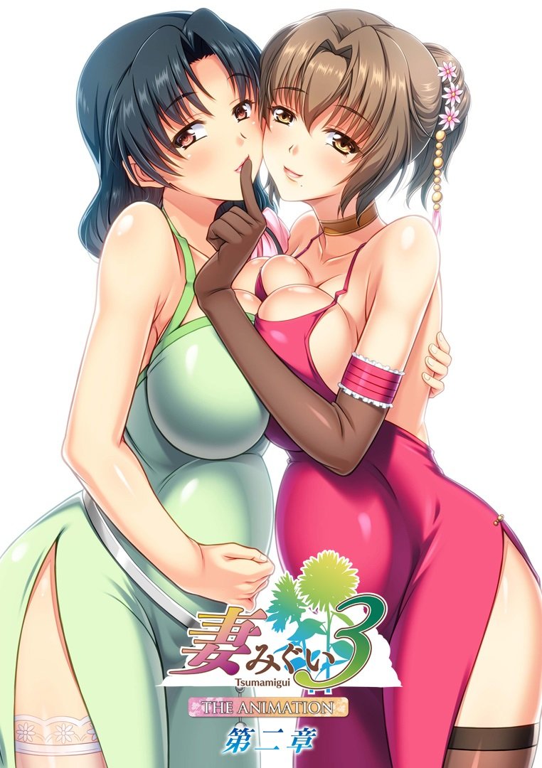 妻みぐい3 THE ANIMATION 第二章封面