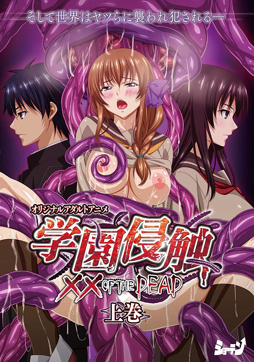 学園侵触 ×× of the Dead 上巻封面