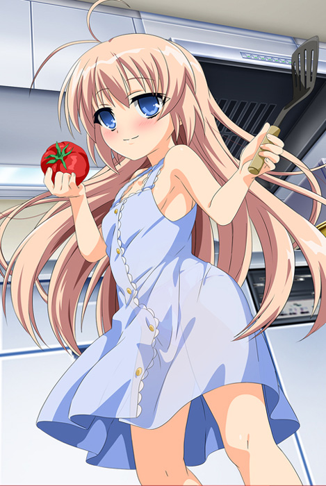 はじめてのおるすばん 観月しおり編封面