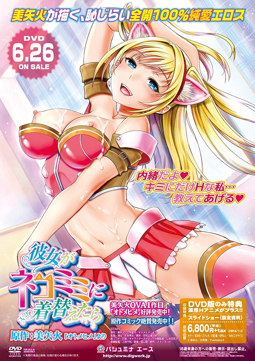 彼女がネコミミに着替えたら封面
