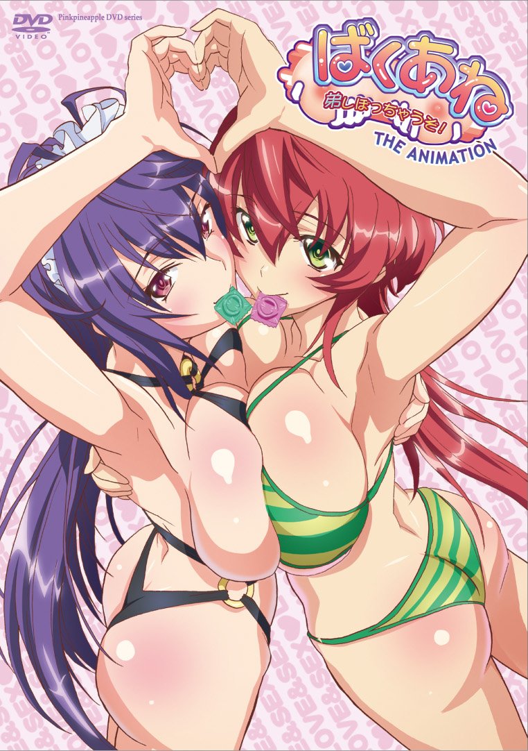 ばくあね 弟しぼっちゃうぞ！ THE ANIMATION封面