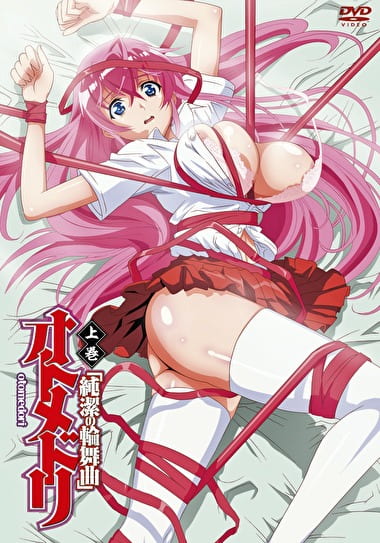 オトメドリ 上巻 純潔の輪舞曲封面